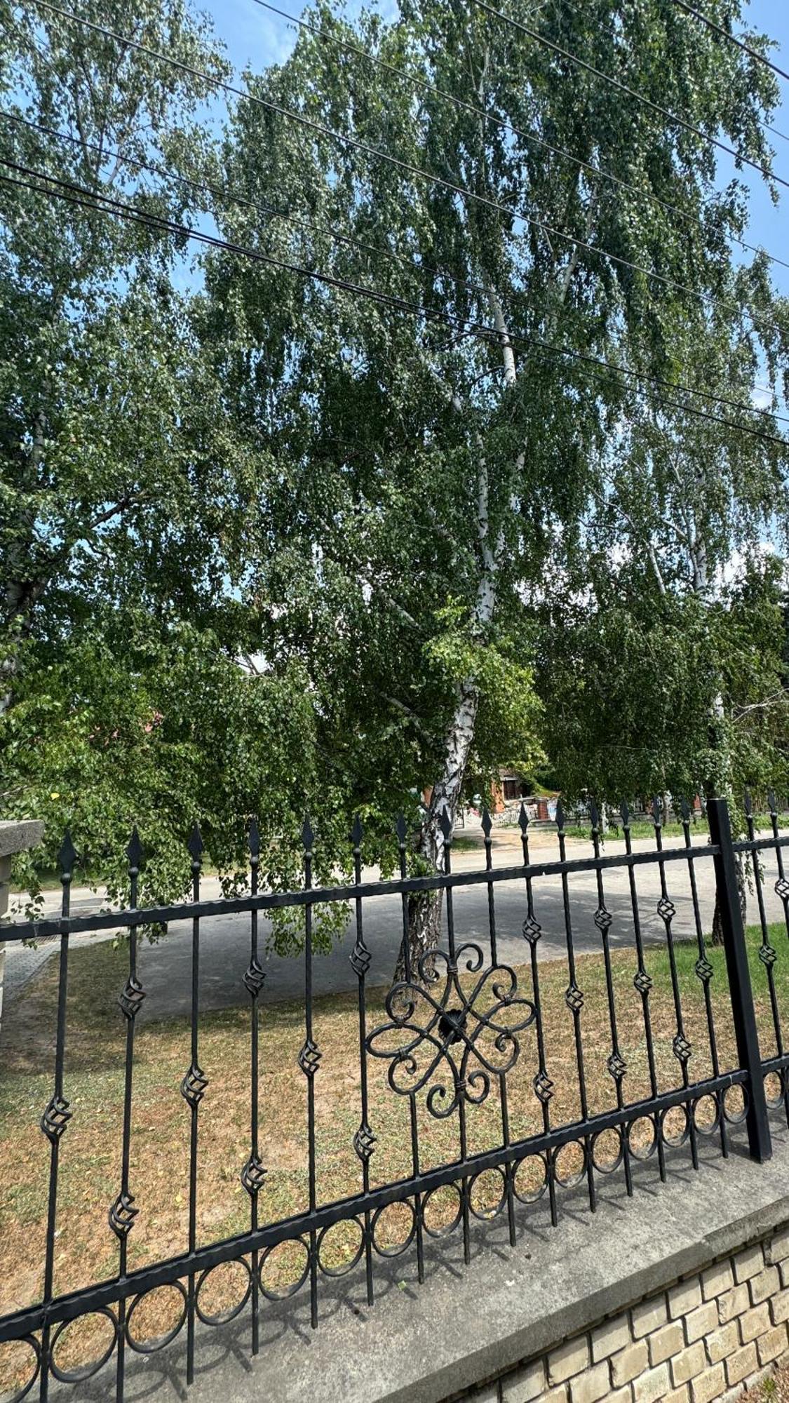 5 Haloszobas Wellness Vip House - Privat Medence Шіофок Екстер'єр фото